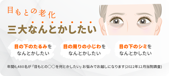 目元の老化 三大なんとかしたい