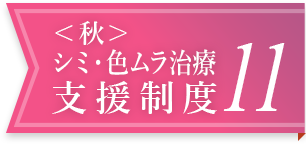 <秋>シミ・色ムラ治療支援制度 11