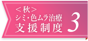 <秋>シミ・色ムラ治療支援制度 3
