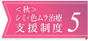 <秋>シミ・色ムラ治療支援制度 5