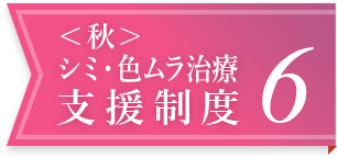 <秋>シミ・色ムラ治療支援制度 6