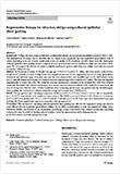 白斑の論文がEuropean Journal of Plastic Surgeryに掲載