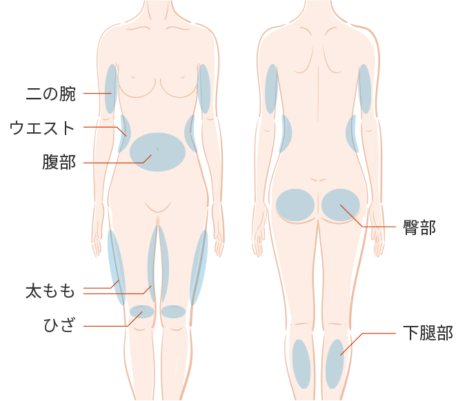 BNLS注射の適用部位（体）