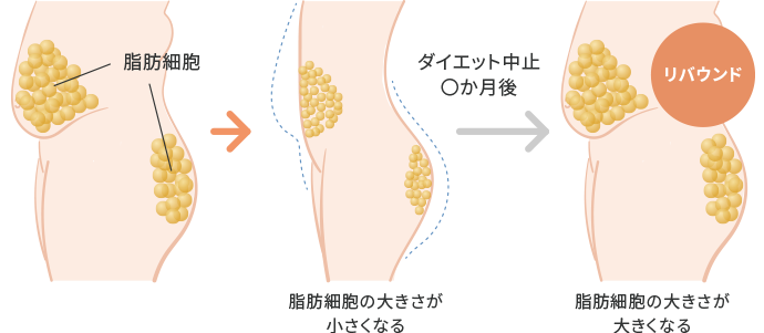 リバウンドのしくみ