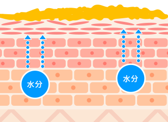 皮脂の分泌が過剰になる