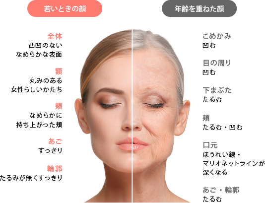 たるみのできる箇所